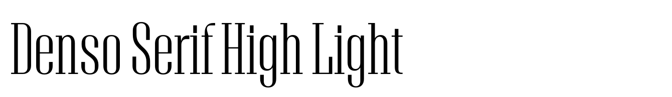 Denso Serif High Light